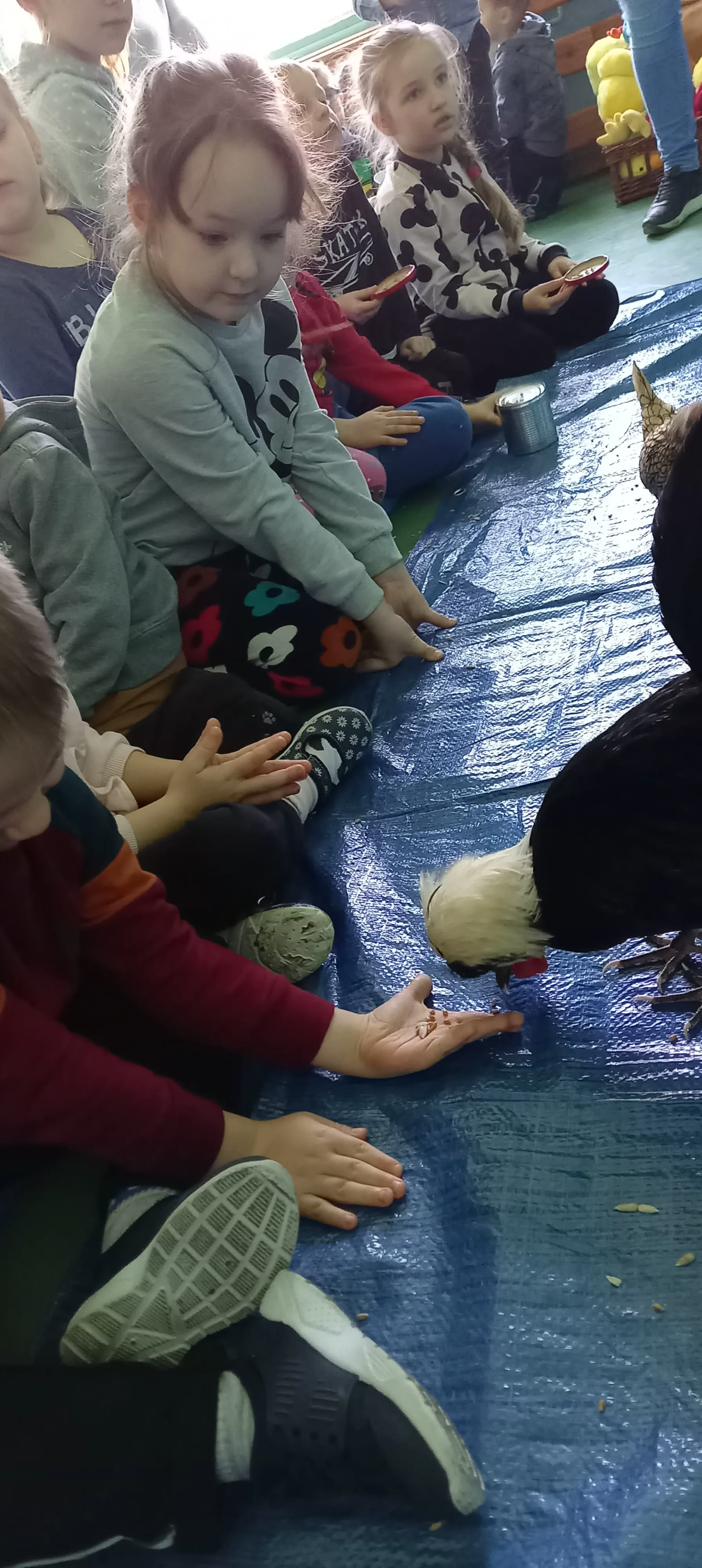 274873362 650032329446079 6708167608546990923 n