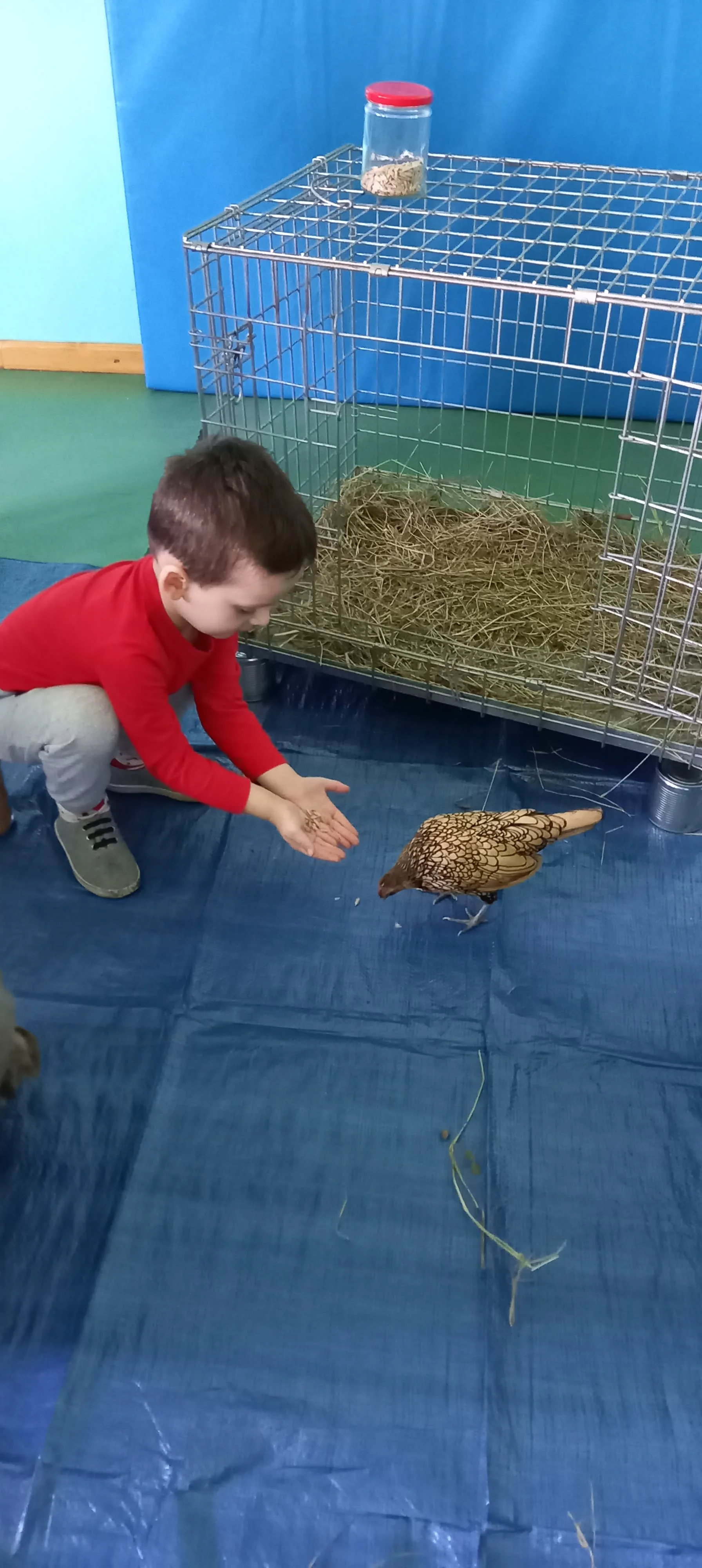 274894536 479843873716440 95478728837399316 n