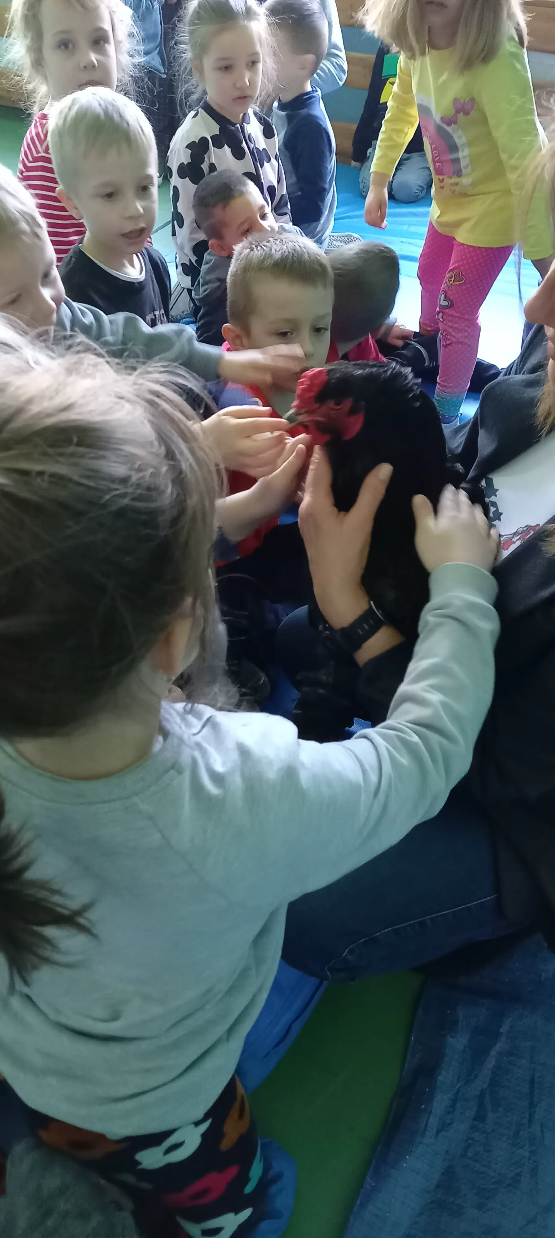 275073792 3302044403361615 427776789585838811 n