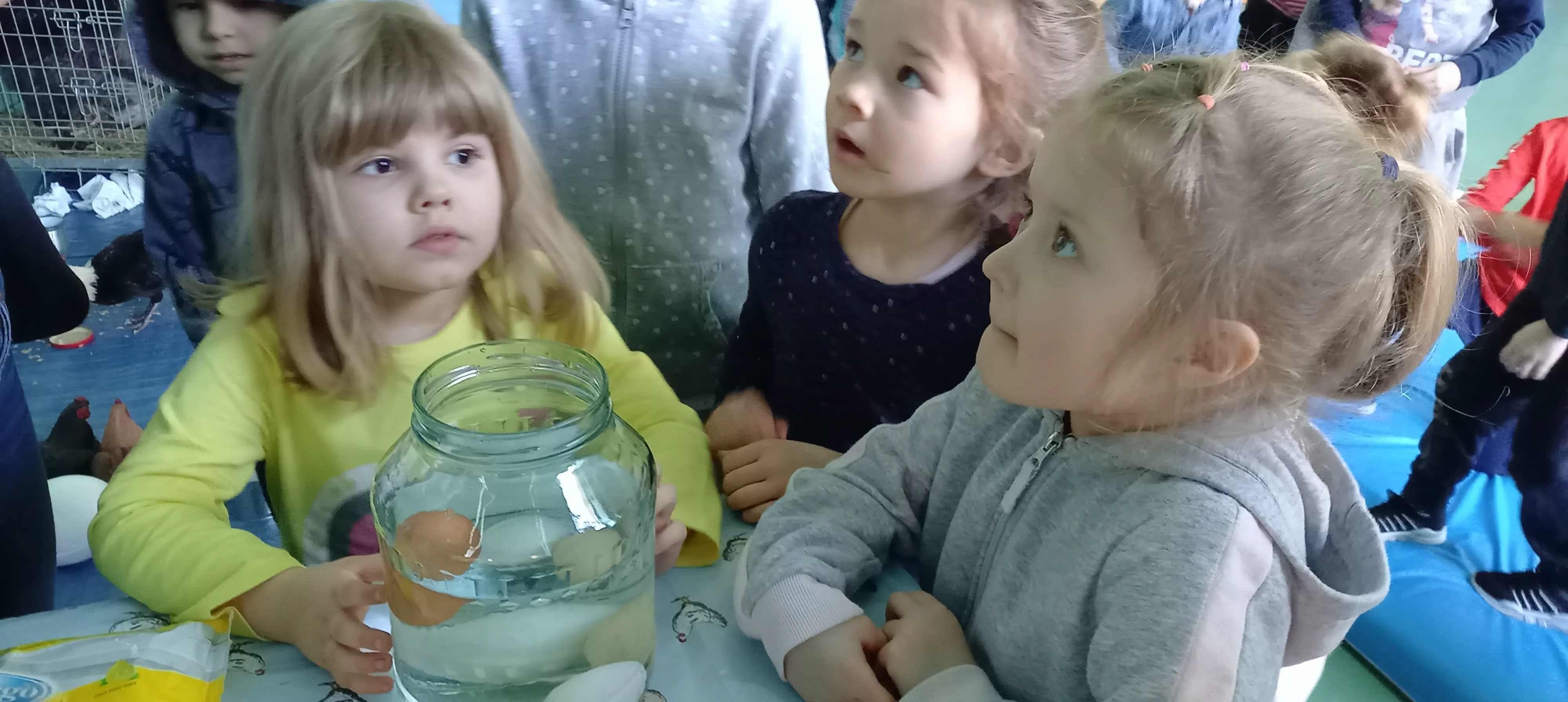 275098632 327215119216394 743565339607944791 n 1