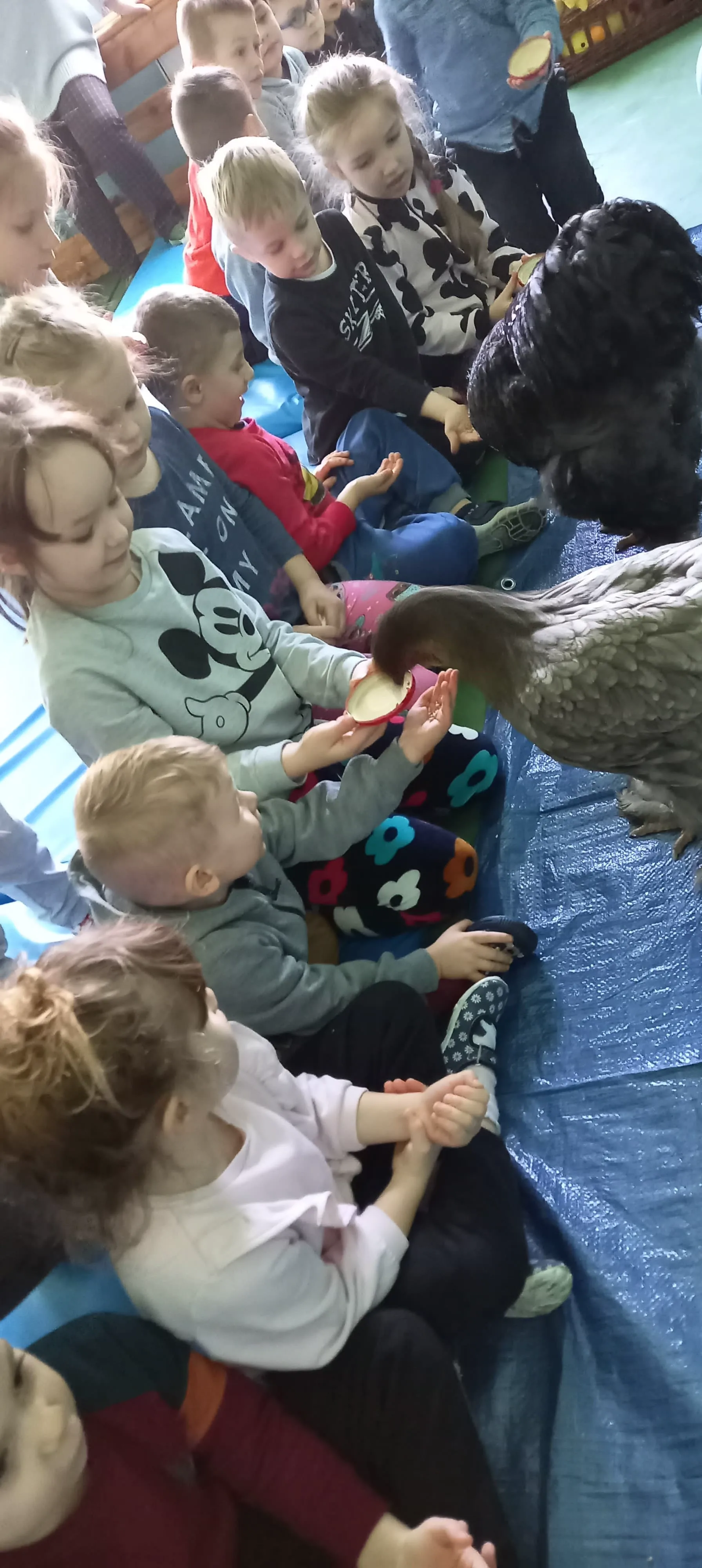 275121438 474869874029943 3612539302373621685 n 1