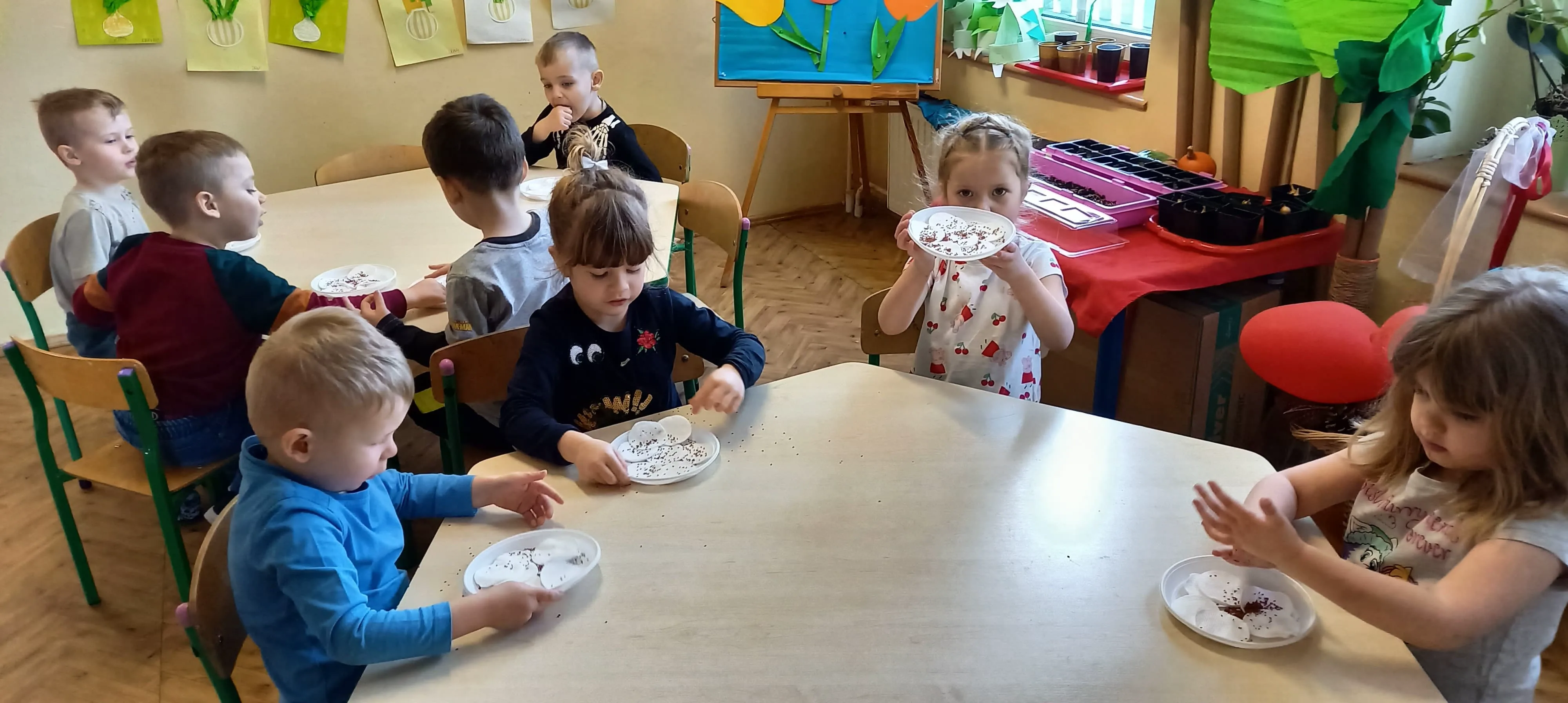 277231723 757252795659656 2778988647161872284 n