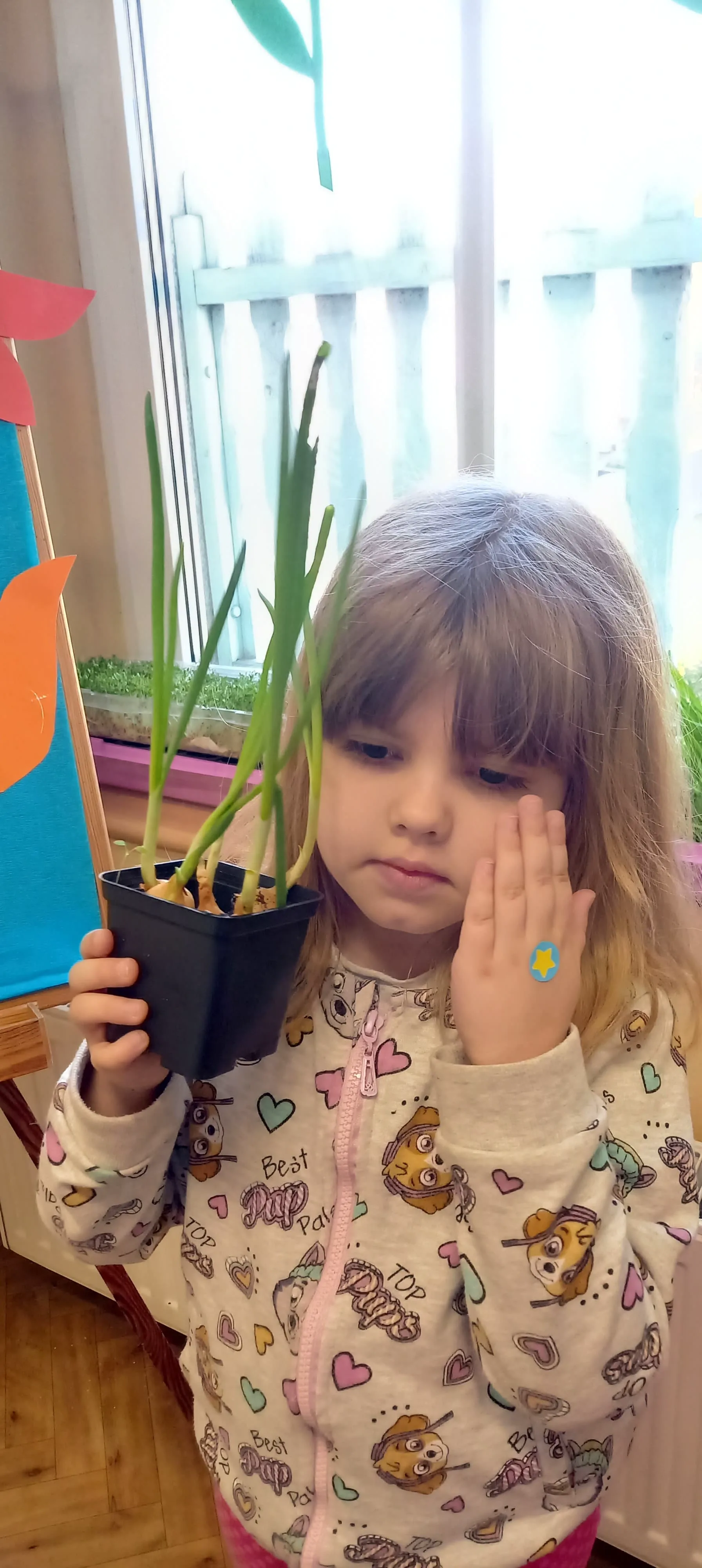 277256352 1001408180785029 3386038886662558659 n