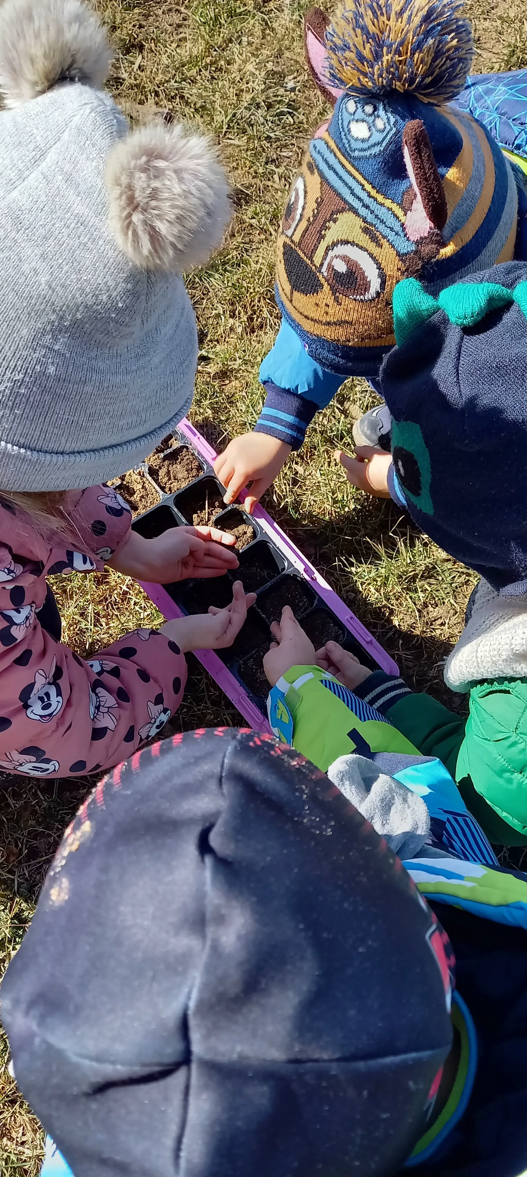 277257453 503675984812173 5895349548335041560 n