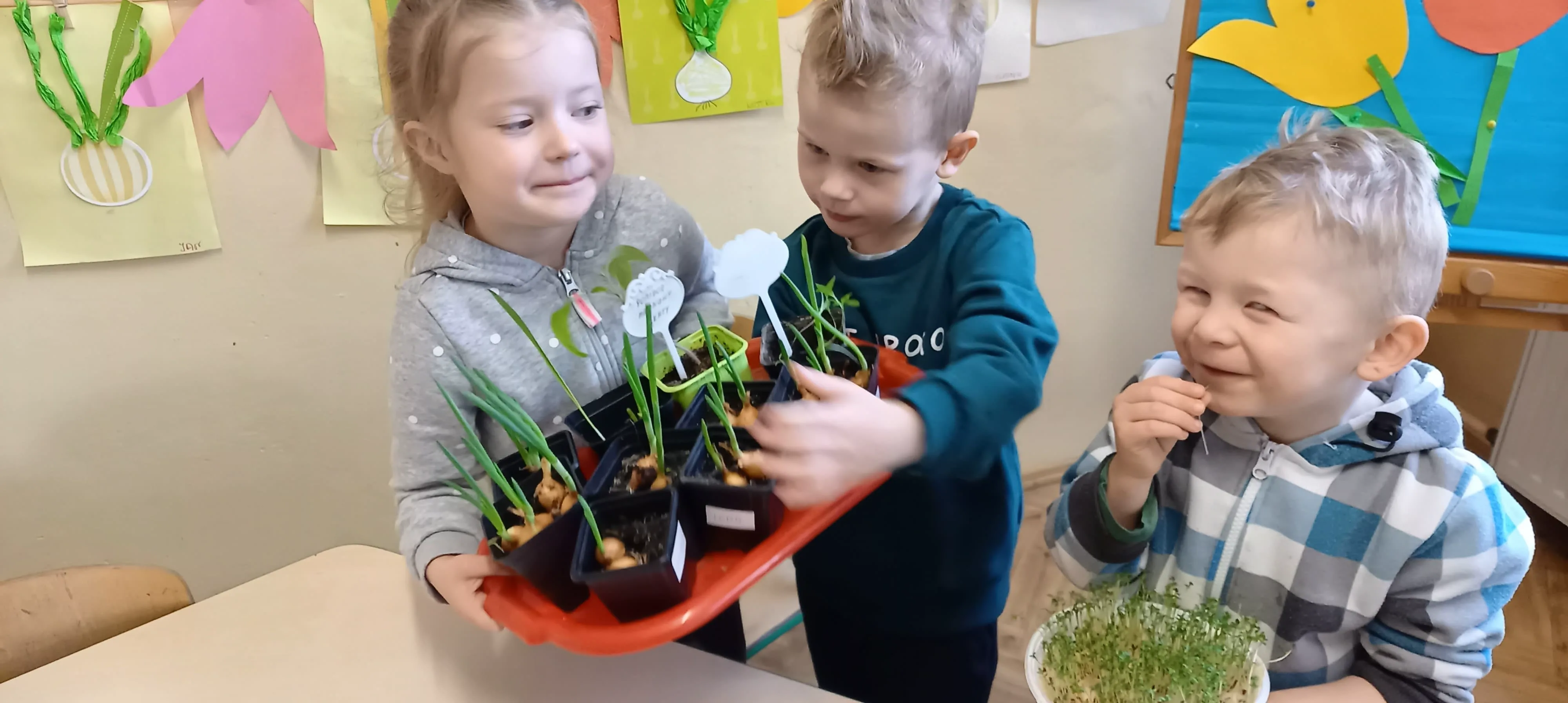 277338150 498962765057632 8087389913935704775 n