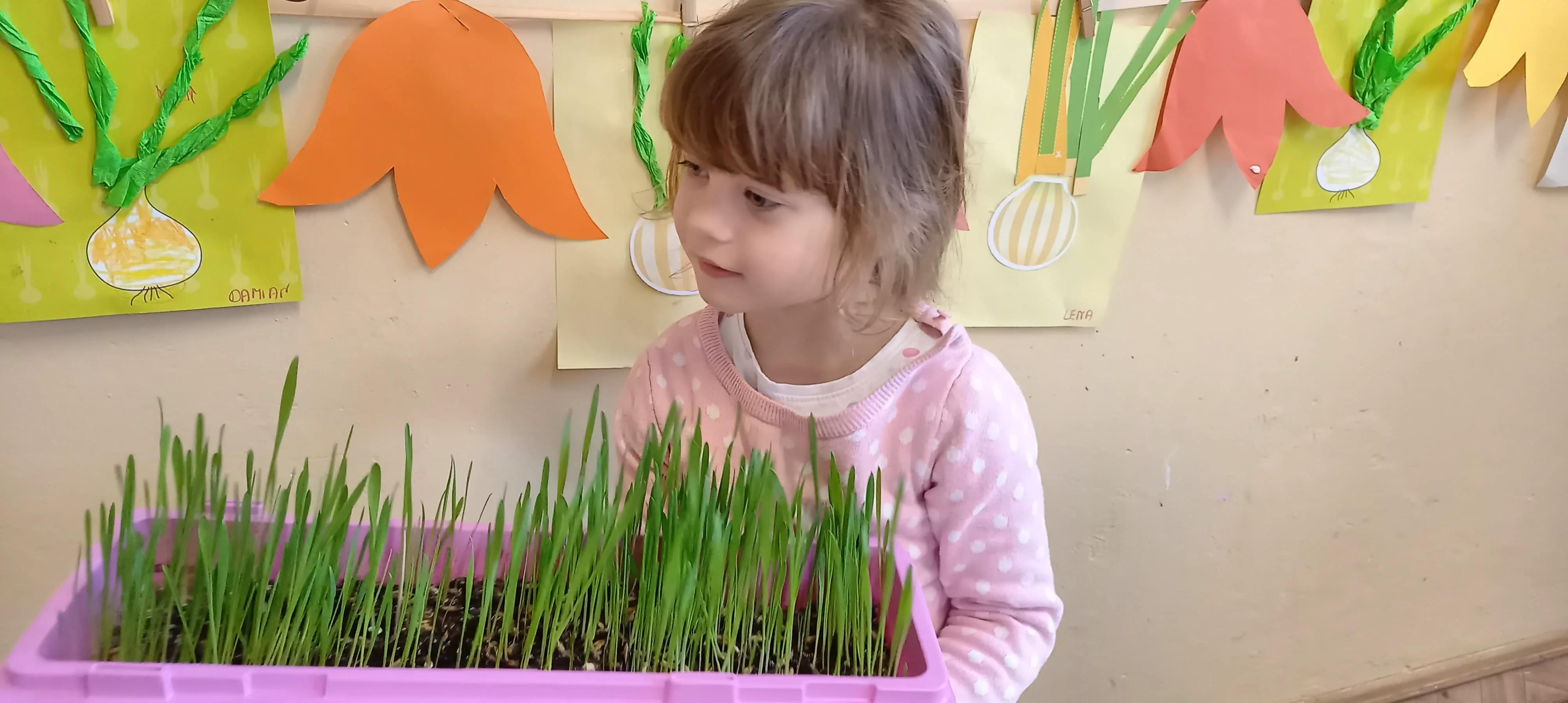 277356786 683836446089463 621529341276997678 n