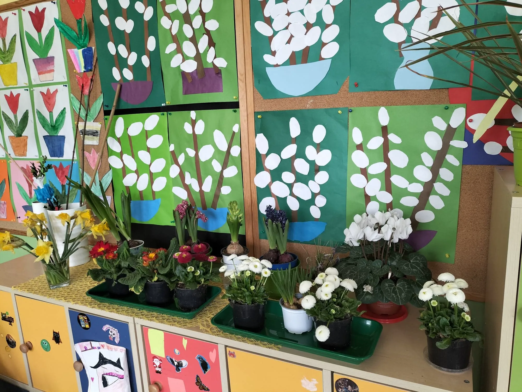 277385016 1641655876197721 4940148595227084600 n