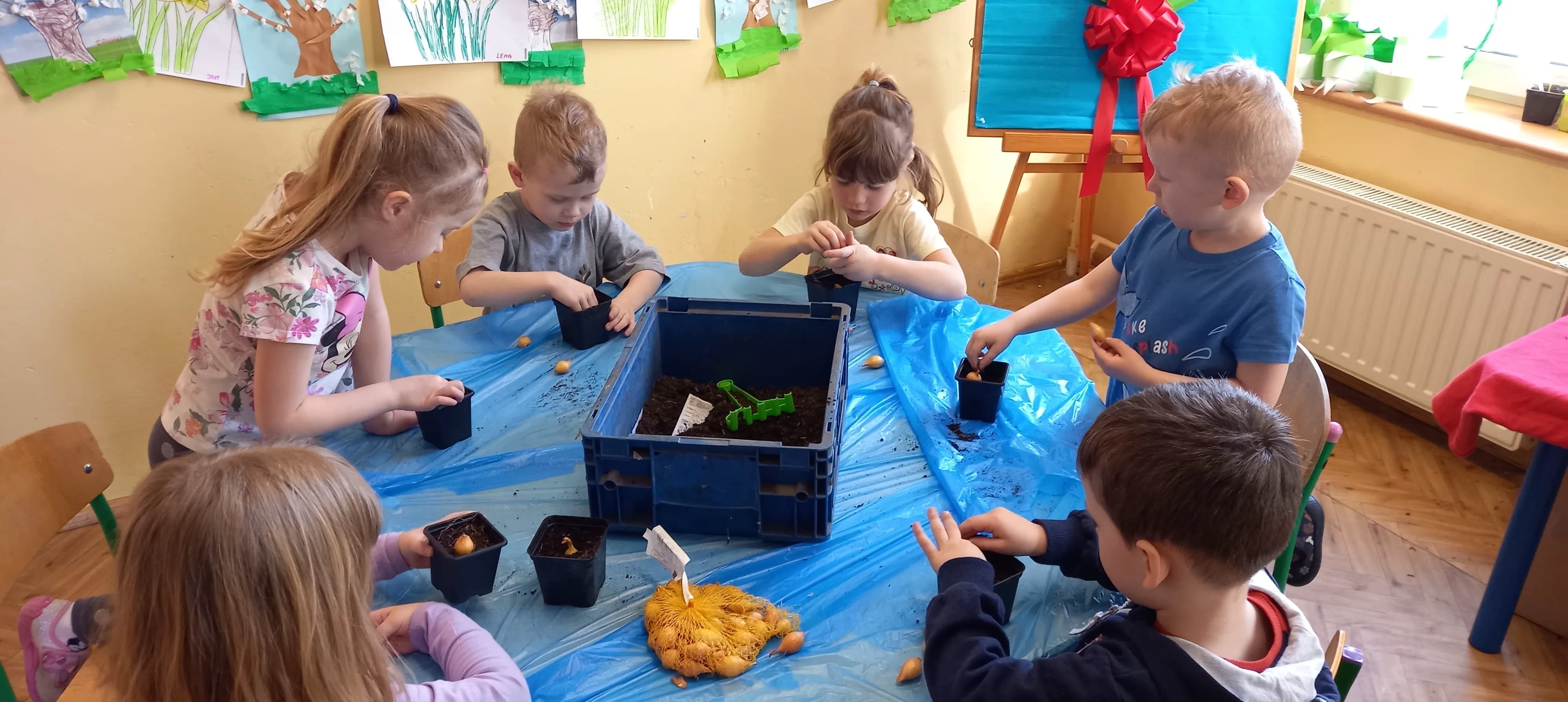 277407657 494771758808063 3506631807079685516 n 1