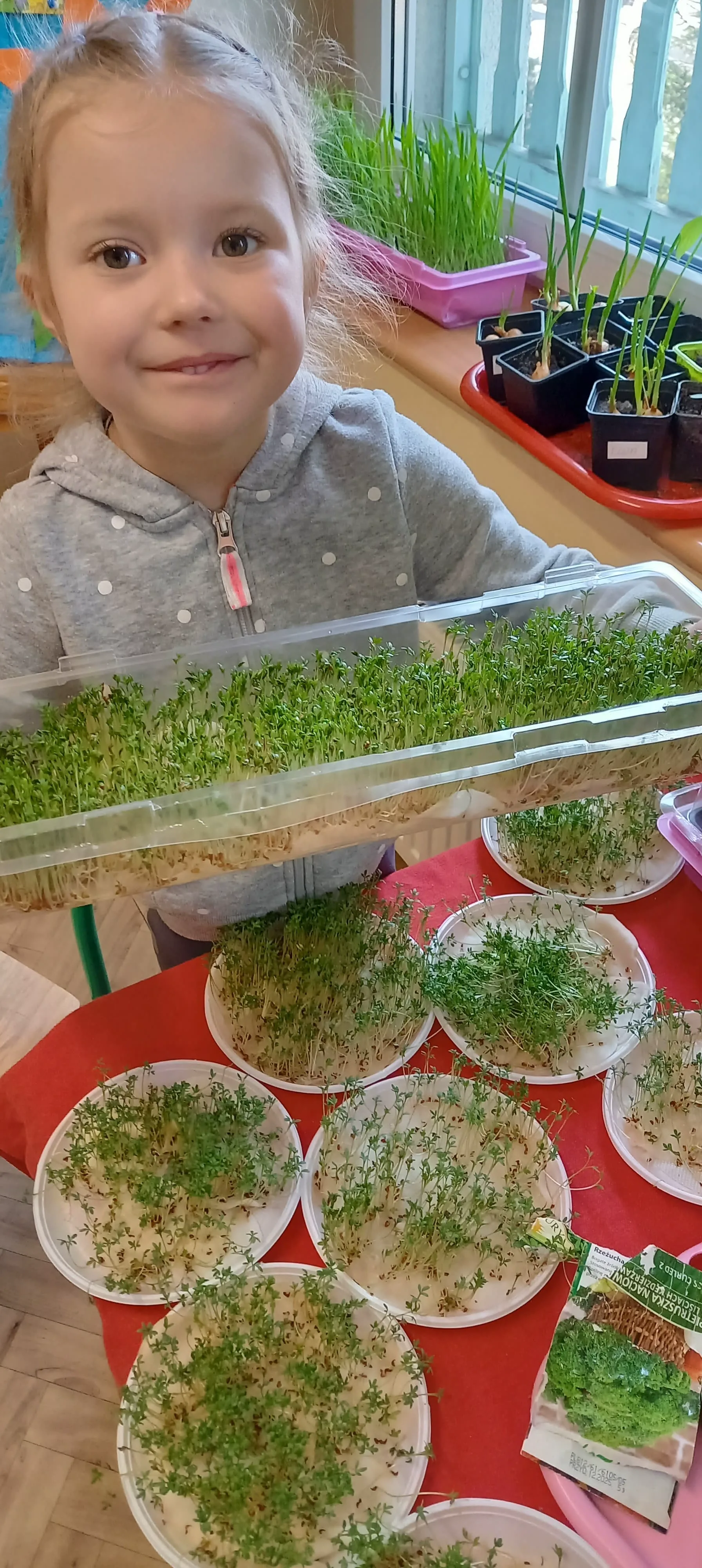 277591616 5168193106557943 5159935653410676591 n