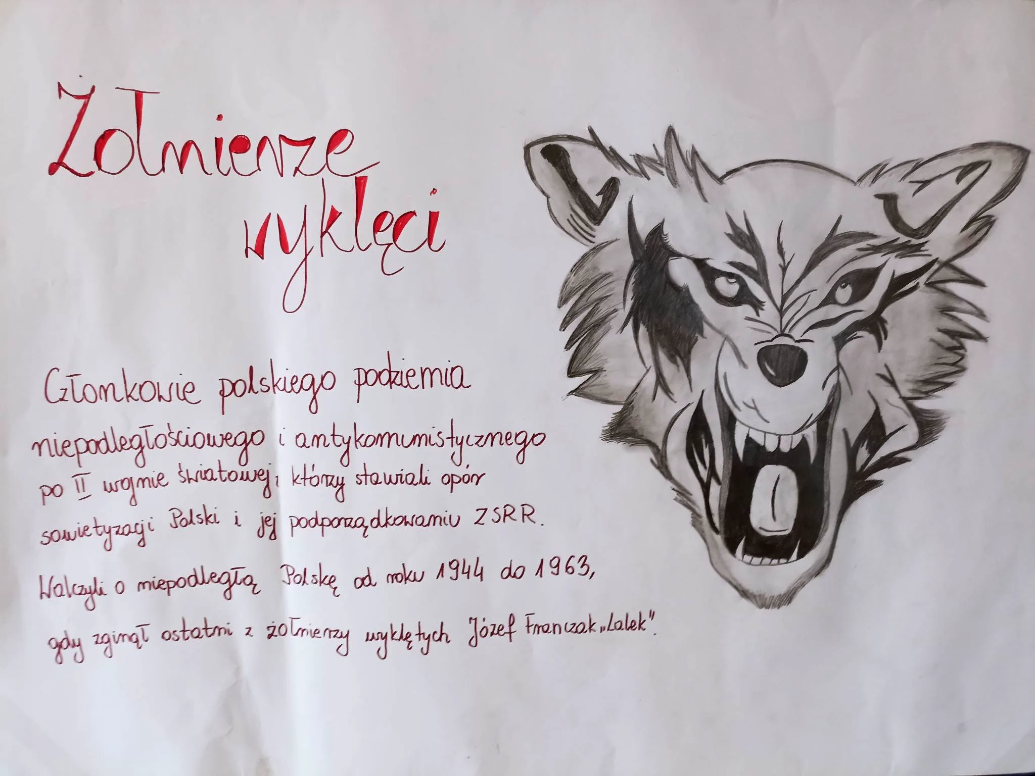 333622423 874750566928233 1230200557298190506 n