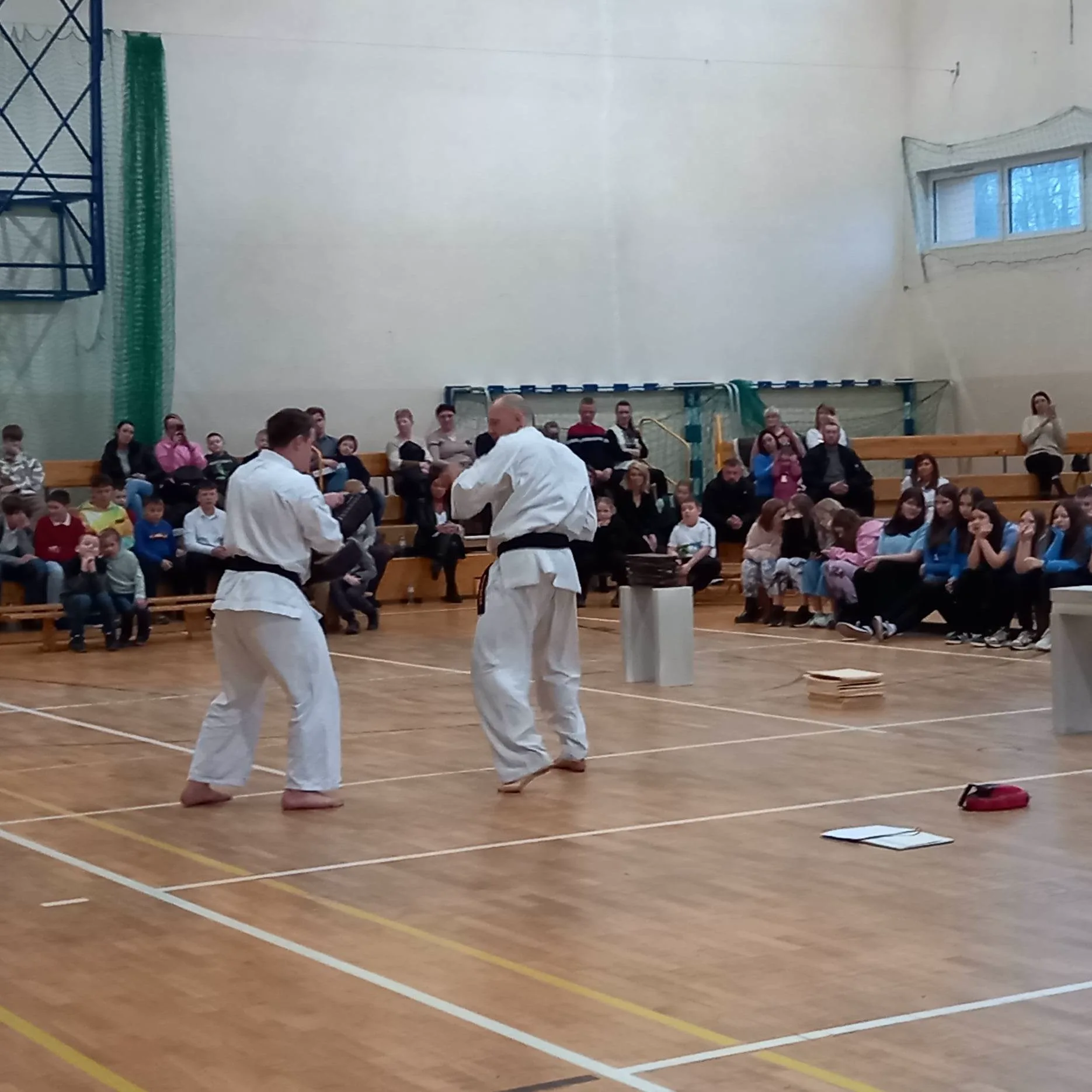 334904406 900433047838528 5800140920796954750 n