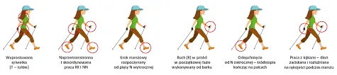 Nordic walking  - Technika dla najmłodszych – wstępny etap nauczania ze sprzętem zastępczym (ćwiczenia wprowadzające z laskami gimnastycznymi)