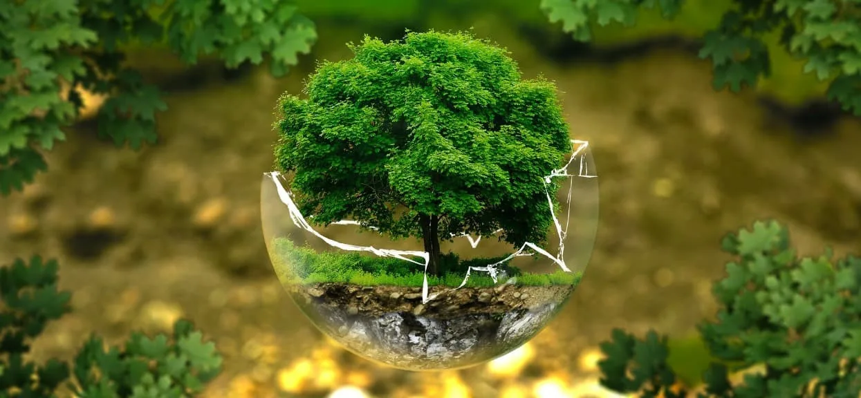 Światowy Dzień Ochrony Środowiska Naturalnego -  5 czerwca