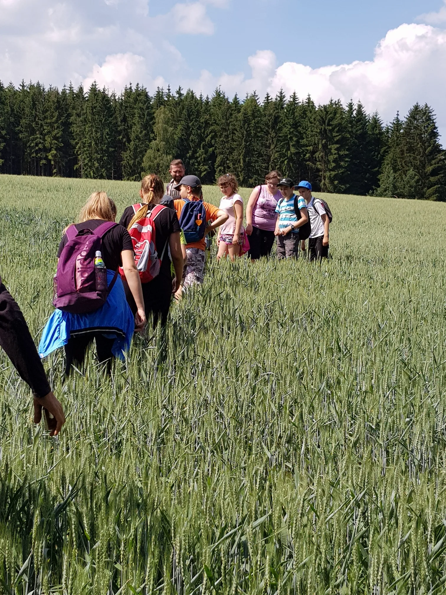 20180616 111408 resized