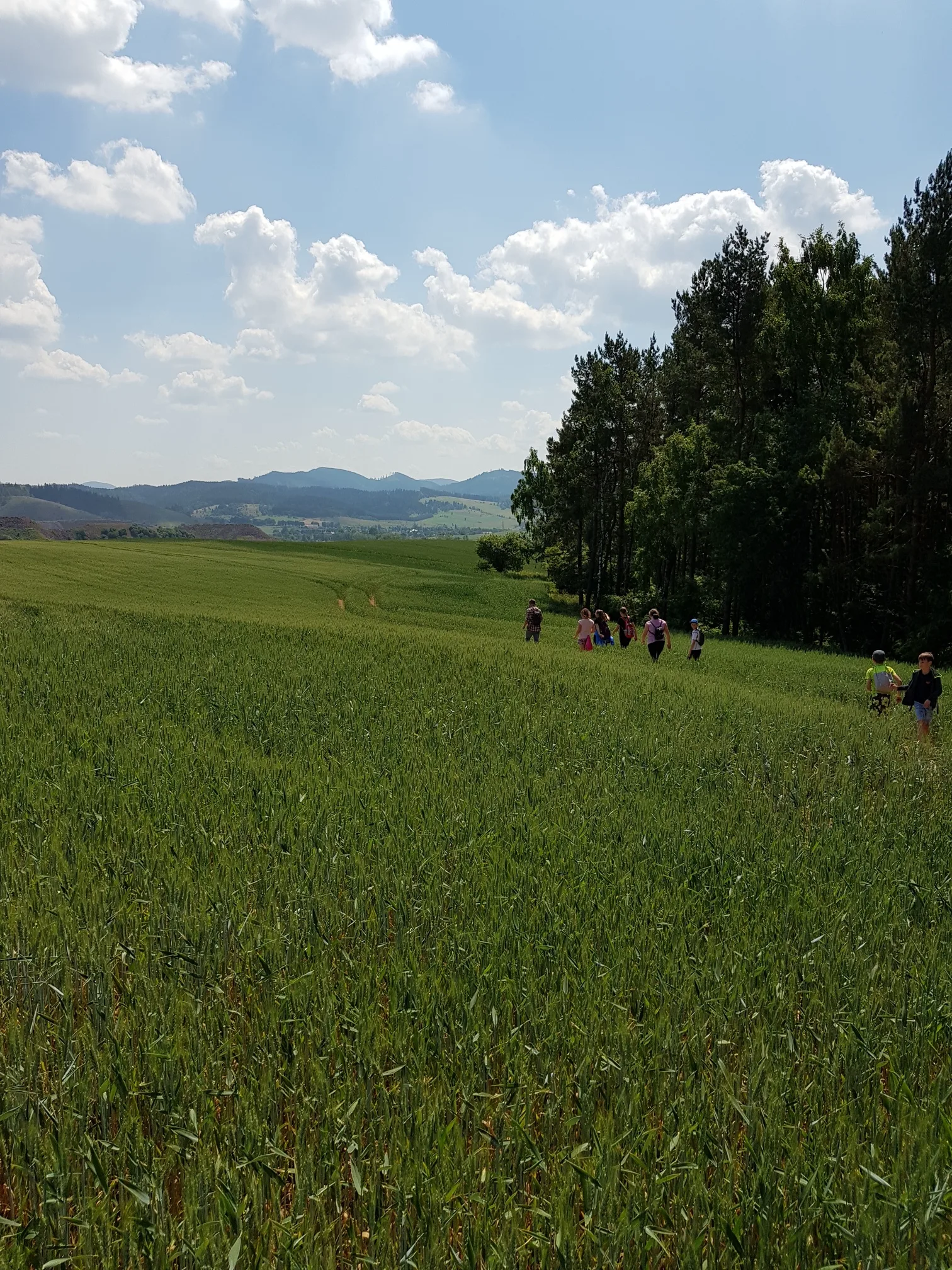 20180616 111951 resized