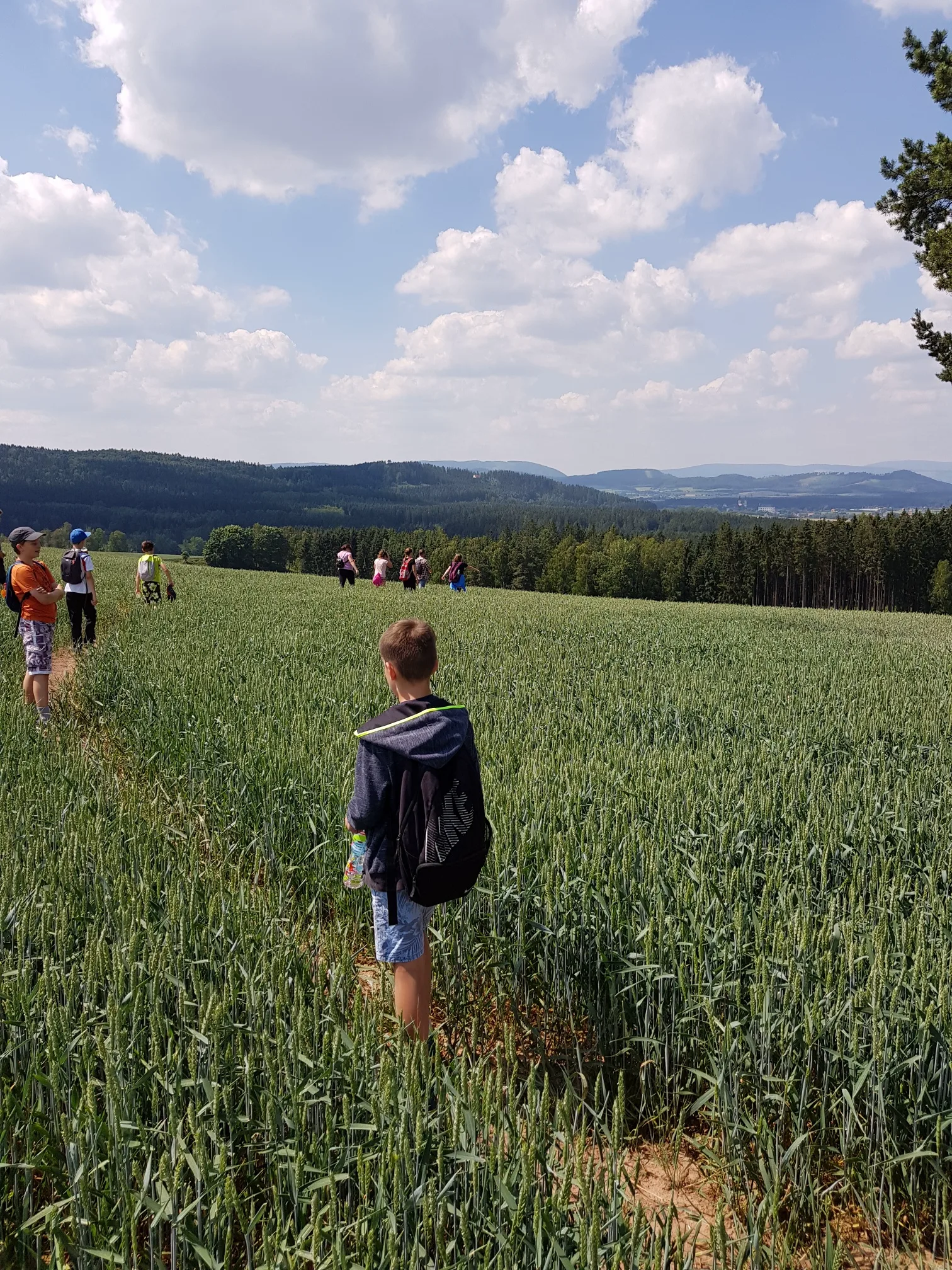 20180616 112350 resized