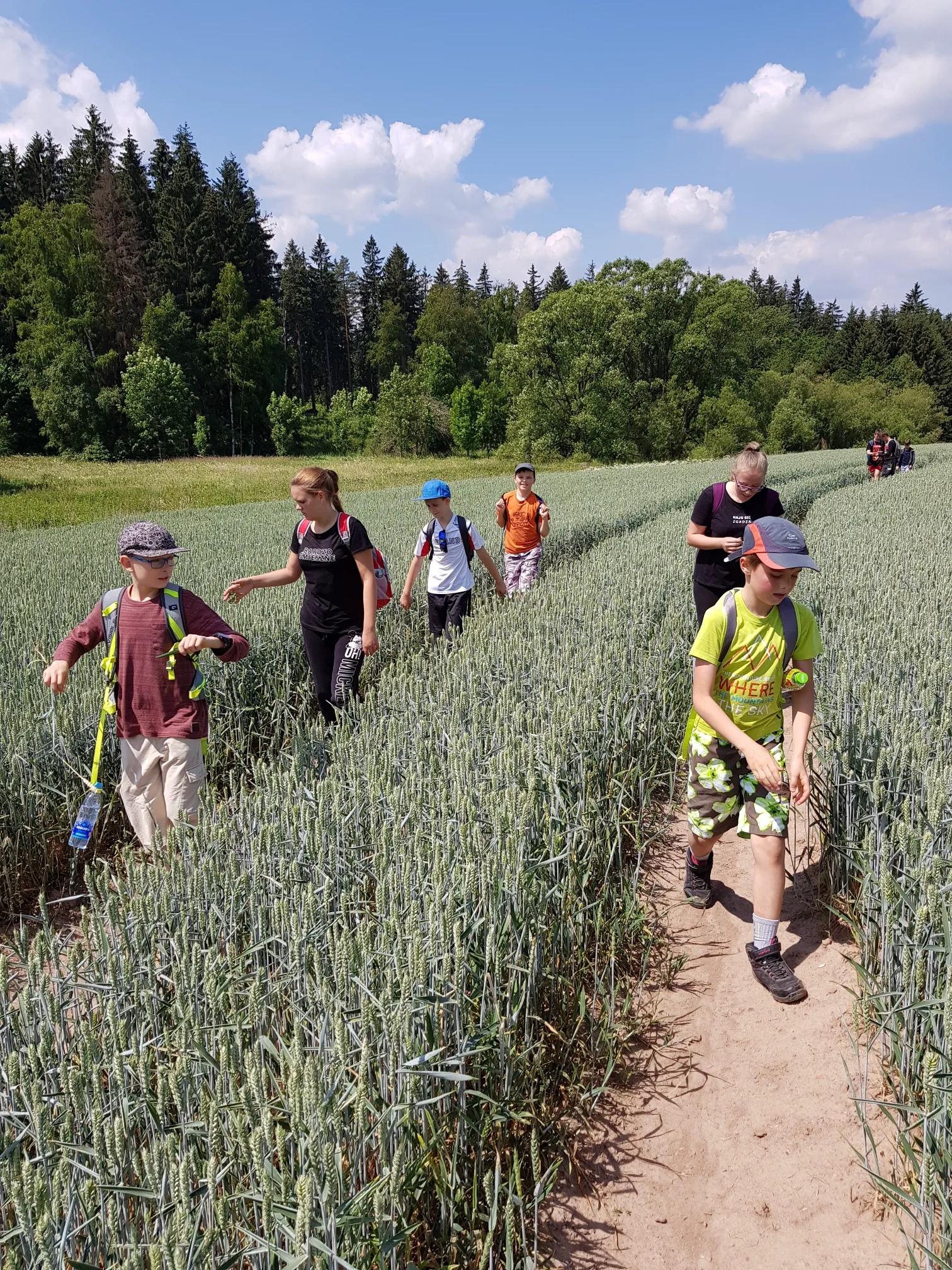 20180616 114432 resized