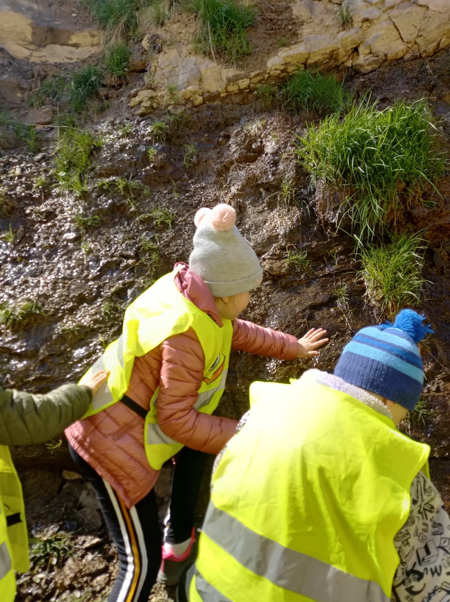 received 4337479053037010.jpeg