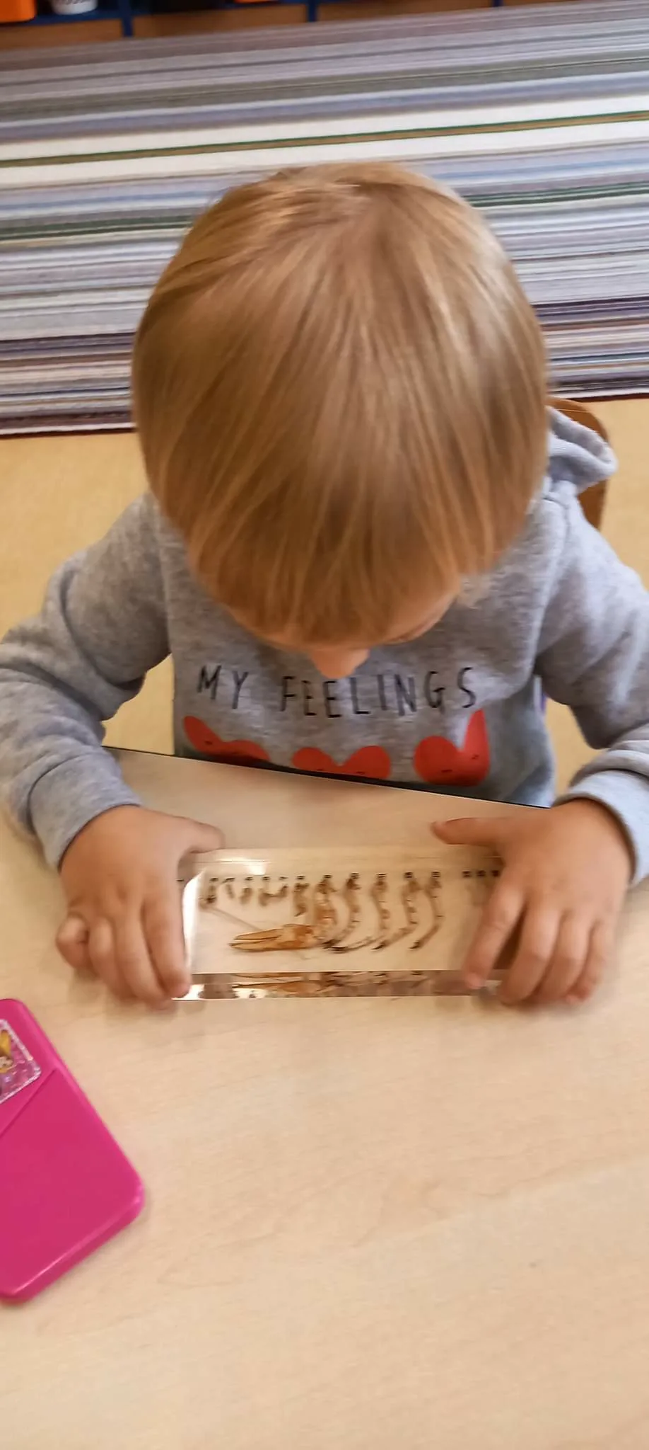 received 666726358450554.jpeg