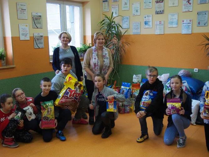 Podsumowanie akcji "Stop pustym miskom - wspomóż schronisko!"