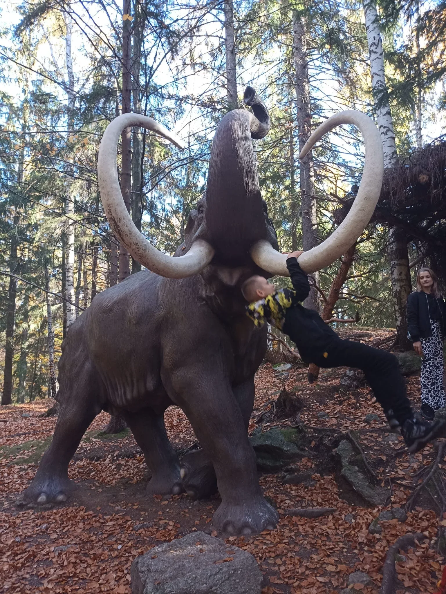 306288303 504089434703632 3478055967098610424 n