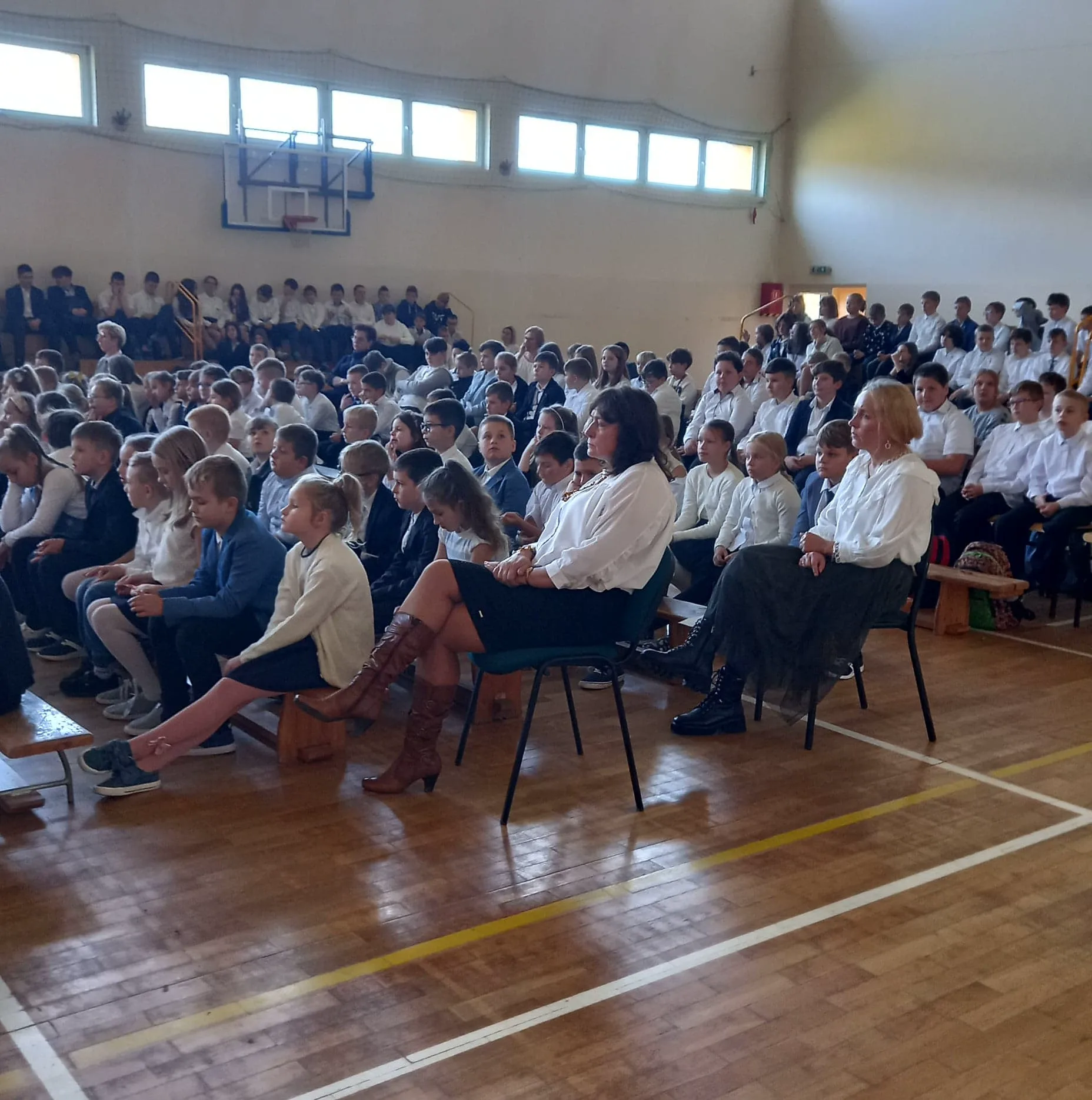 310987558 806293100573780 5237541075550594986 n