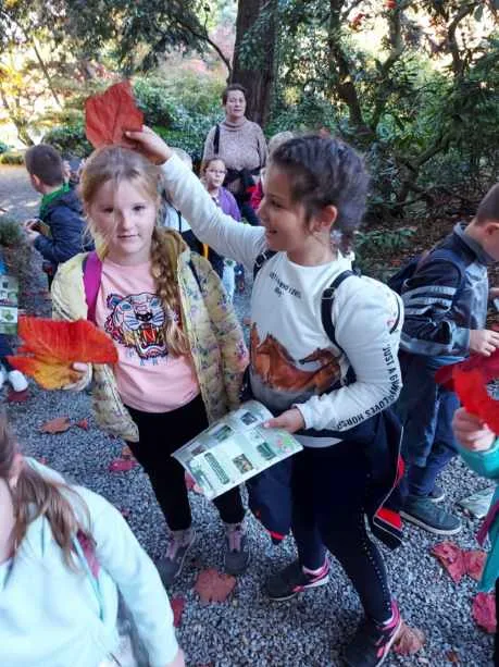 Resized 20221017 110430.jpeg