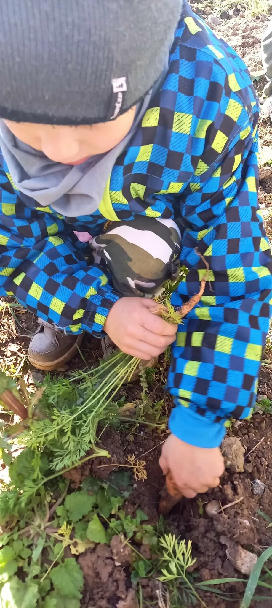 received 6218197234863541.jpeg