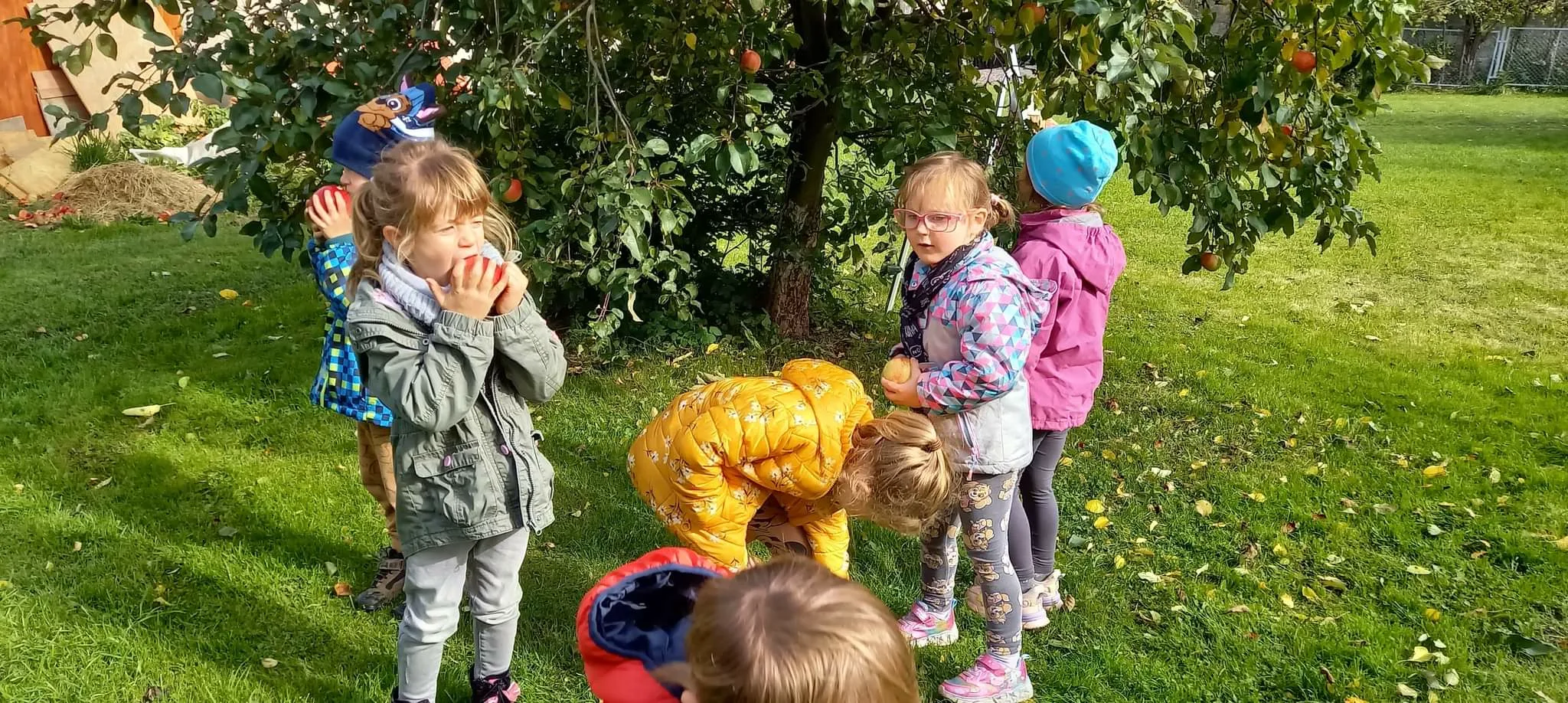 received 627151255571252.jpeg