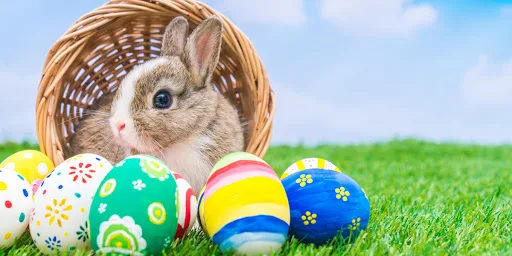 Od uczniów dla uczniów (i nie tylko) - życzenia wielkanocne