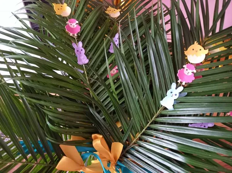 received 445745273313220.jpeg