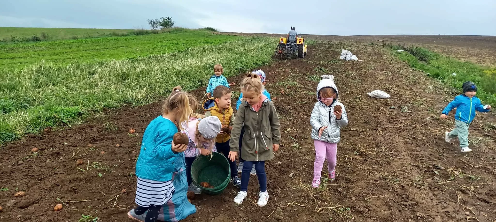 WYKOPKI - ŚWIĘTO ZIEMNIAKA