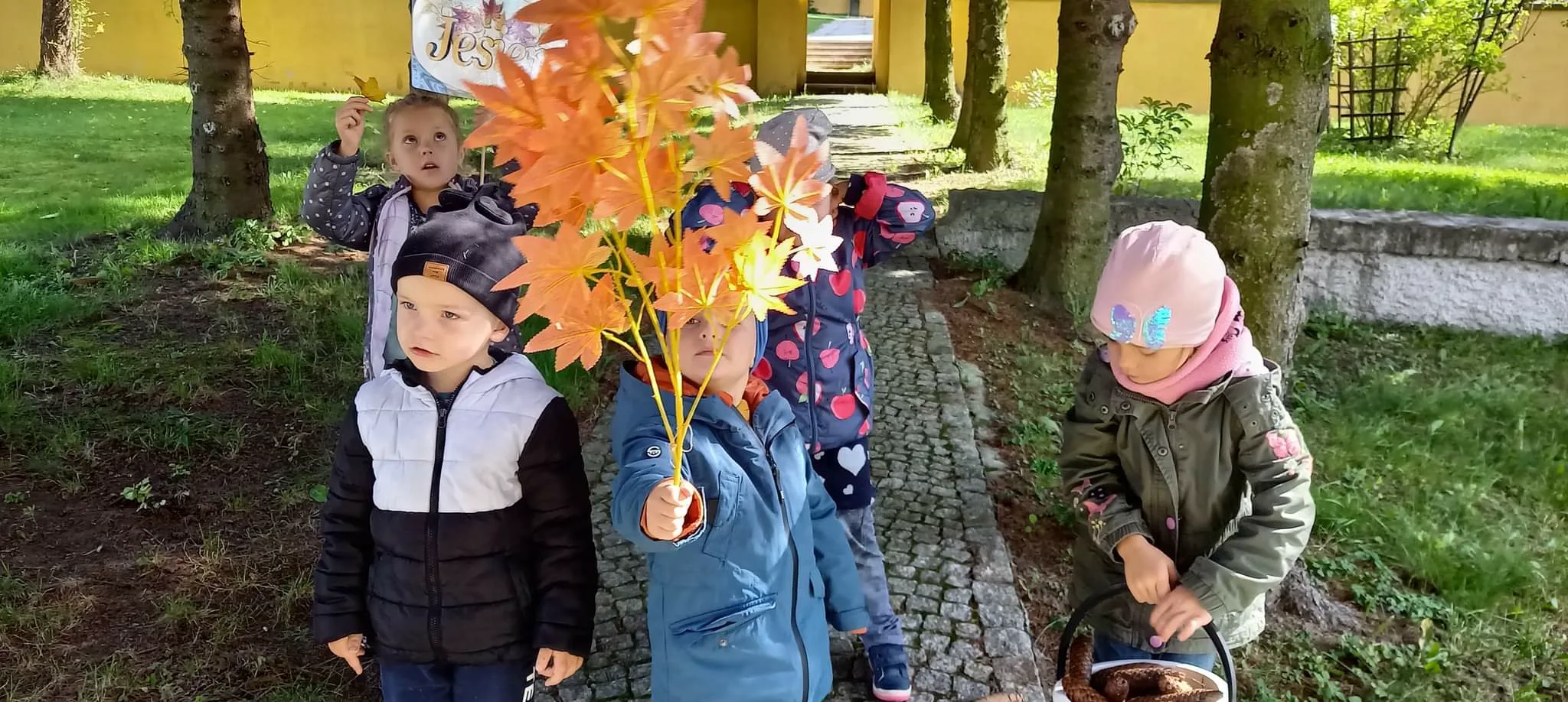 received 1539341159829925.jpeg