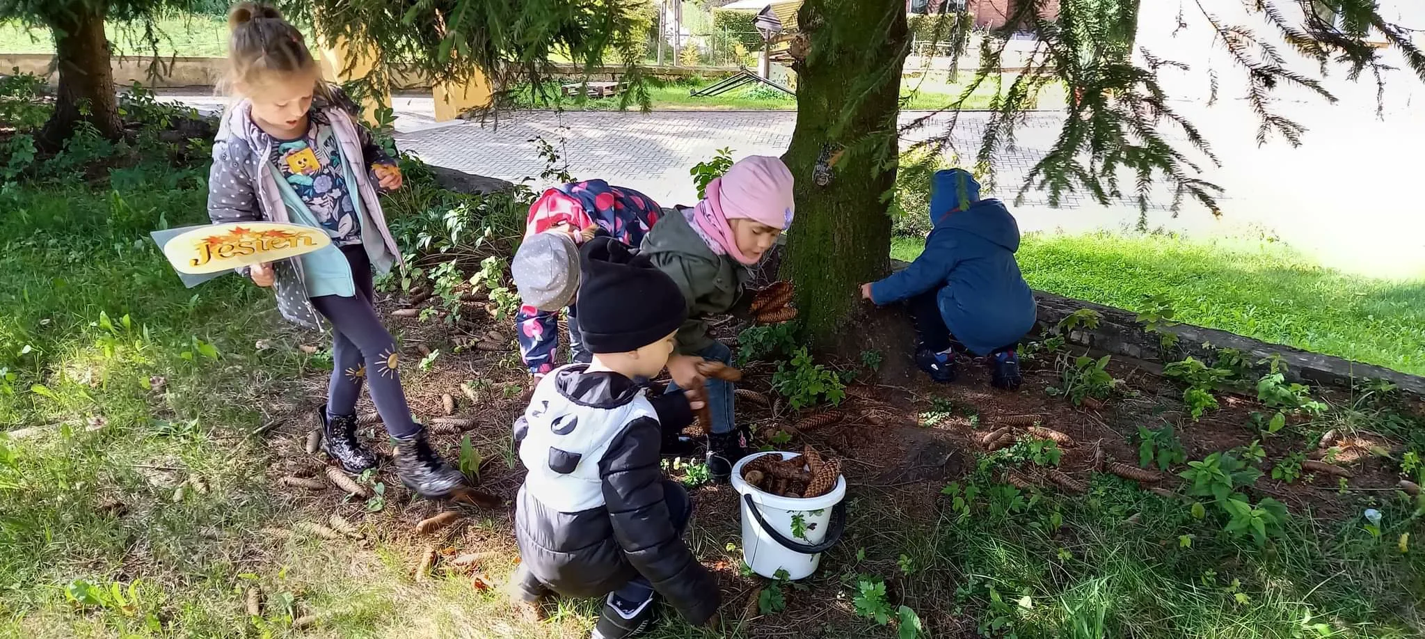 received 2972570753036719.jpeg