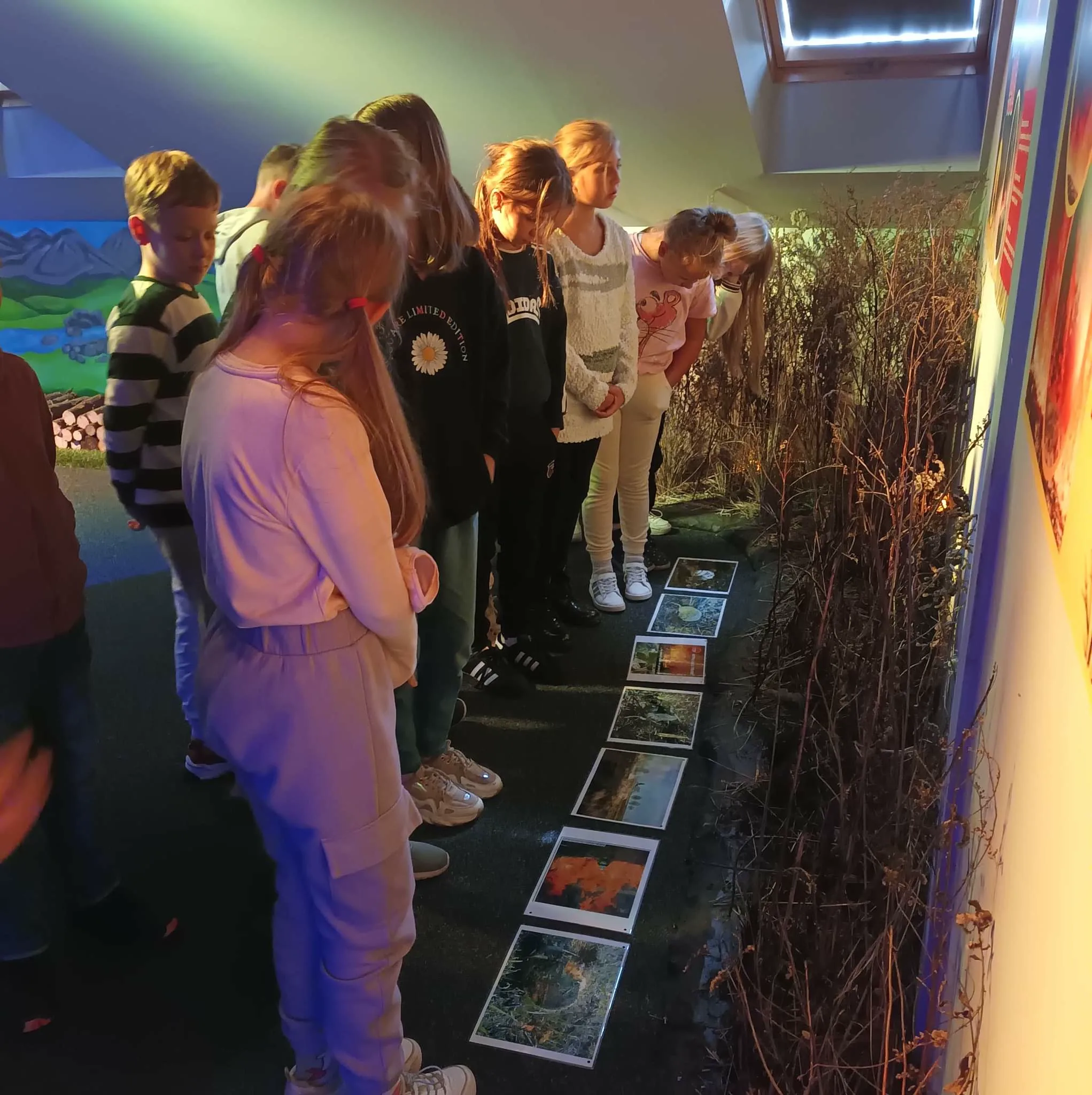 received 3354631314756531.jpeg