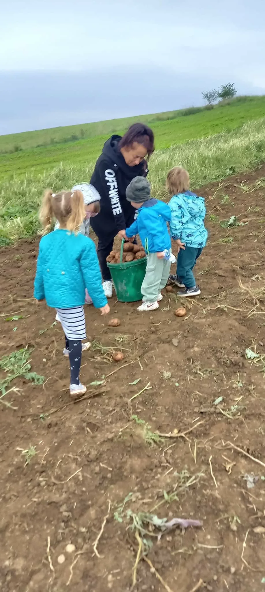 received 526654792624008.jpeg