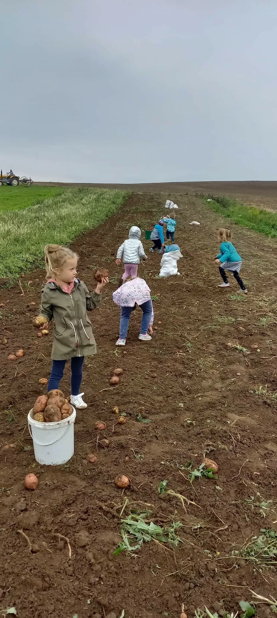 received 665214644801284.jpeg