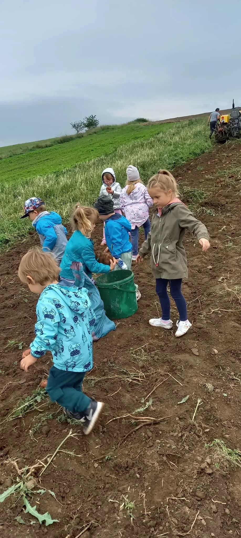 received 780818016506566.jpeg