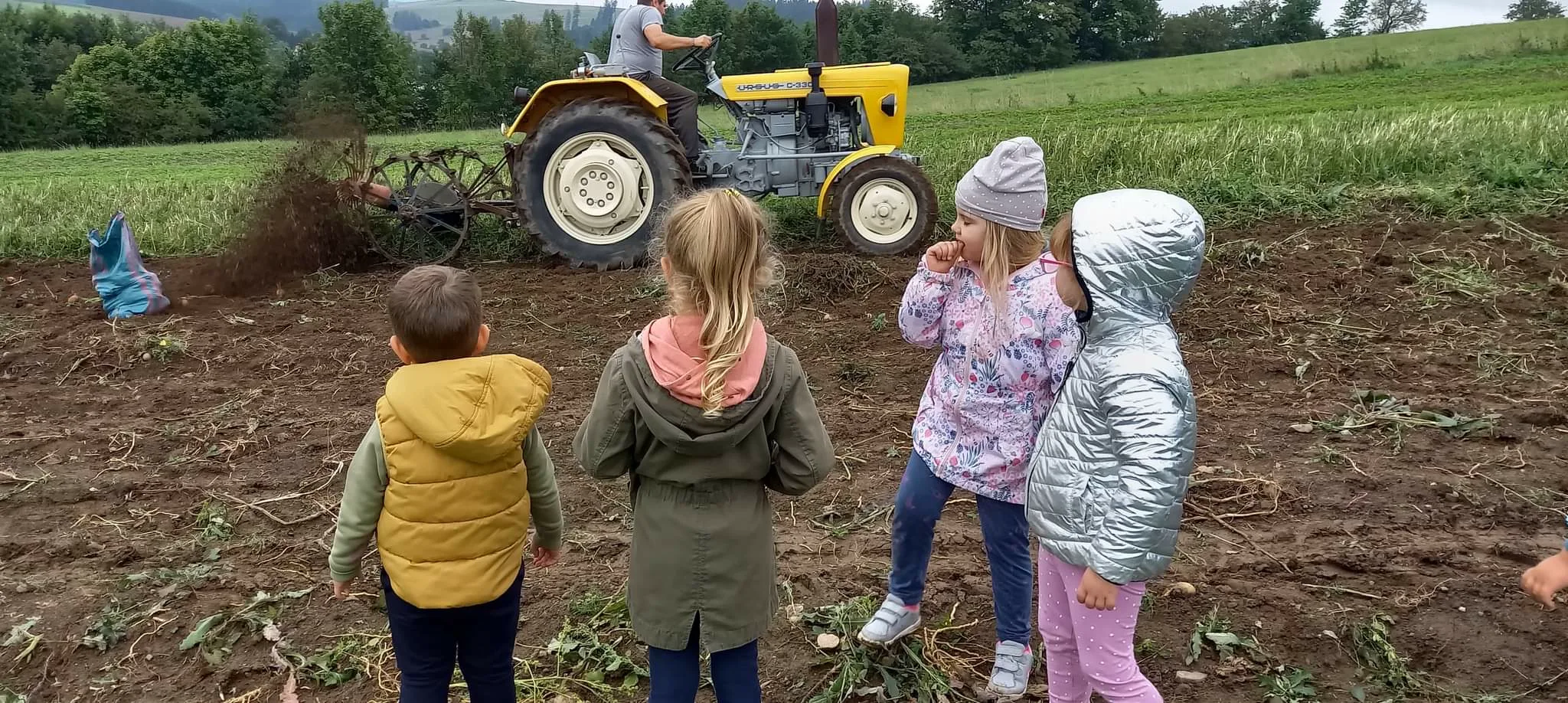 received 790698535352823.jpeg