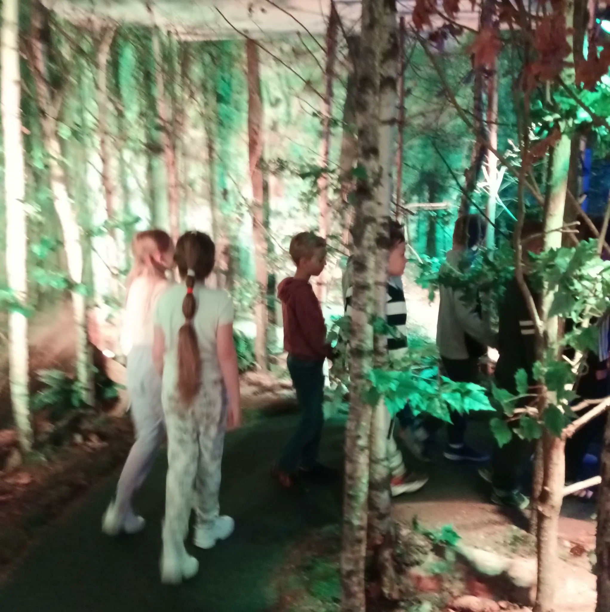 received 797220788278084.jpeg